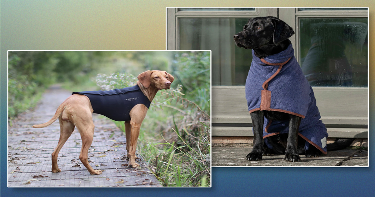 Fleece coat online for dogs